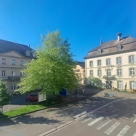 Des Cigognes Au Coeur Du Bourg * Dannemarie (Haut-Rhin)