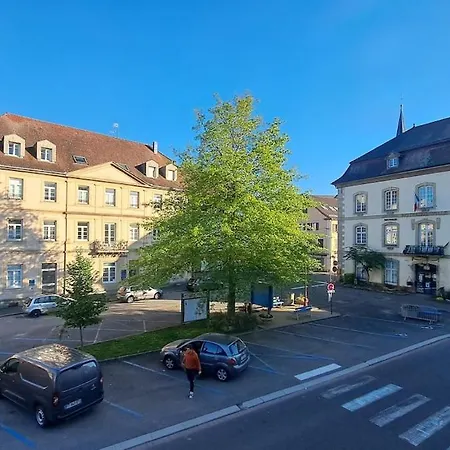 Des Cigognes Au Coeur Du Bourg Апартаменты Dannemarie (Haut-Rhin)